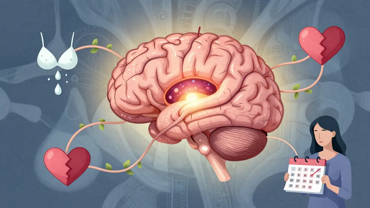 Pituitary Adenomas: Understanding Prolactinomas and Hormone Imbalances