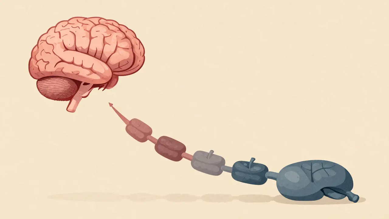 Conceptual illustration of broken biological signal pathway